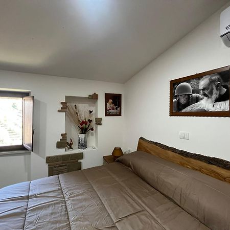Dimora Forgione B&B - Пьетрельчина Экстерьер фото